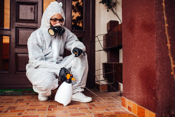 Attic and Crawl Space Rodent Treatment in Mascot